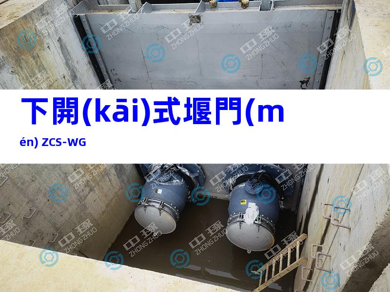 下開(kāi)式堰門(mén) ZCS-WG